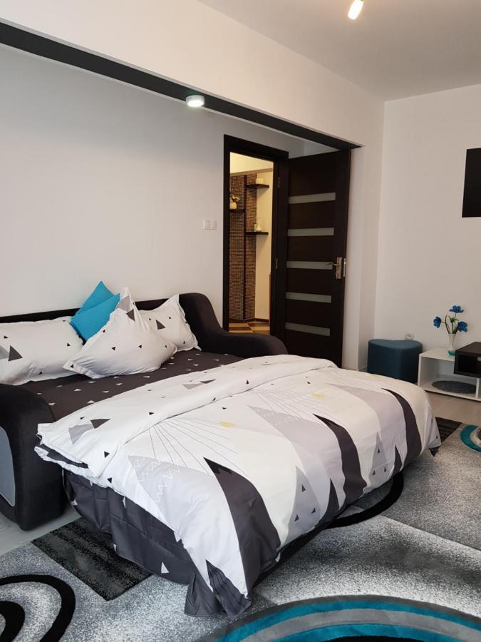 Apartament Sofy2 Băile Herculane Exterior foto